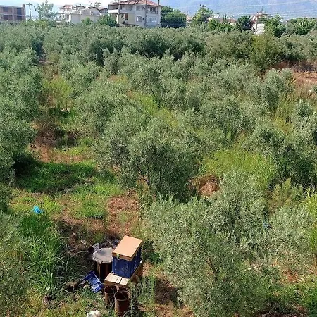 Sakin Huzurlu Tatil