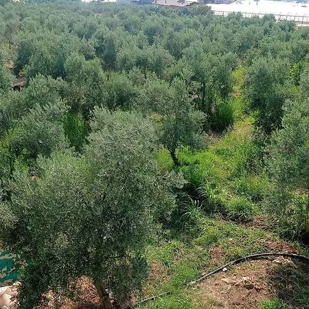 Apartament Sakin Huzurlu Tatil